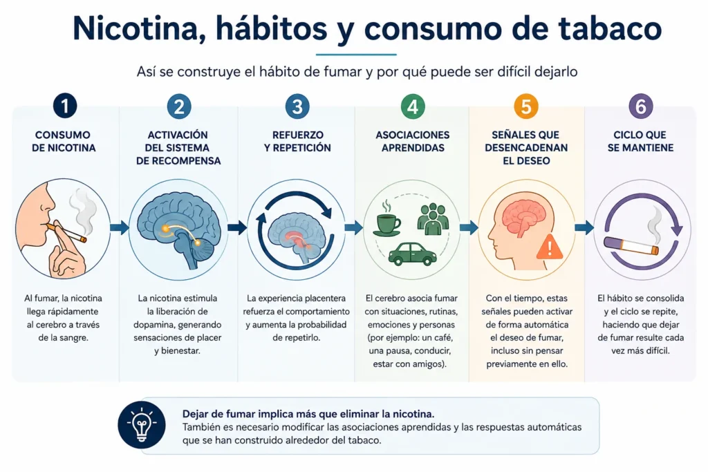 Nicotina, hábitos y consumo de tabaco Cómo influyen la nicotina y los hábitos en el consumo de tabaco