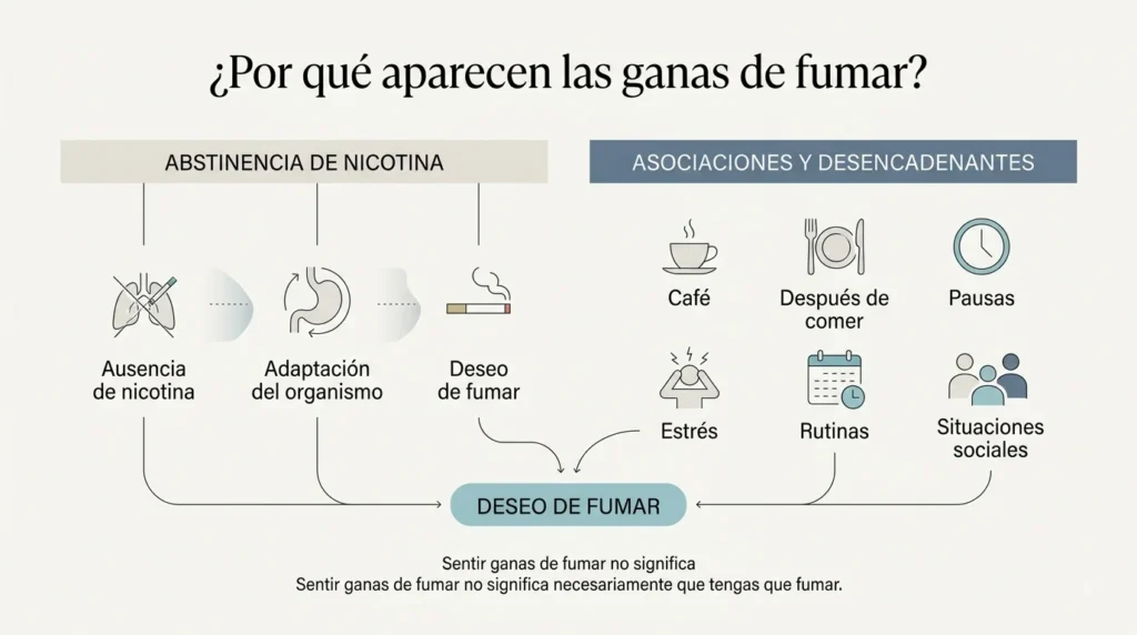 Por qué aparecen las ganas de fumar Causas de las ganas de fumar al dejar el tabaco